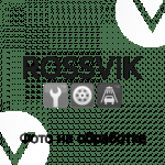LYD2.6-19 Втулка упорная LYD2.6-19 Втулка упорная
